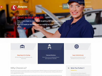www.famizuautospa.com snapshot