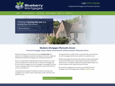 blueberrymortgagesplymouth.co.uk snapshot