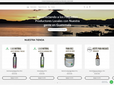 localitogt.com snapshot