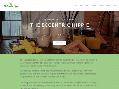 www.theeccentrichippie.com snapshot