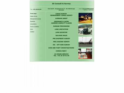 consultsurvey.dk snapshot