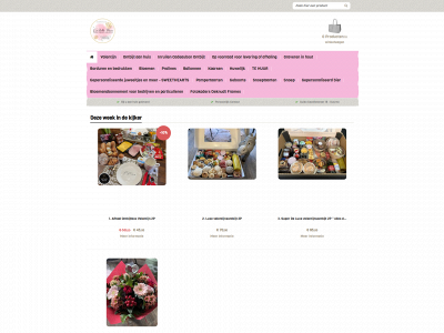 labellefleur.be snapshot