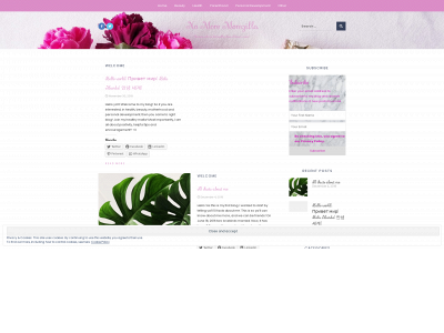 nomoremomzilla.com snapshot
