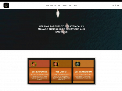 www.strongersolutions.info snapshot