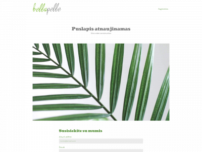 bellapelle.lt snapshot