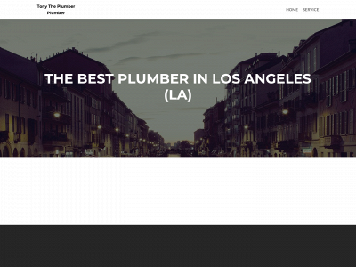 tonytheplumbercompany.com snapshot