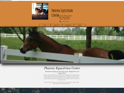 phoenixeqcenter.com snapshot