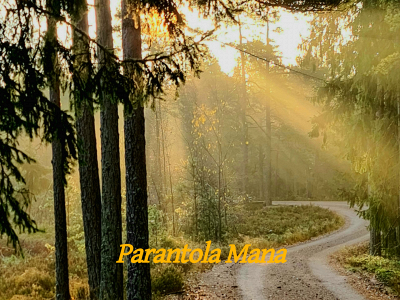 parantolamana.fi snapshot