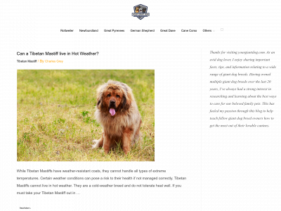 poochdaily.com snapshot