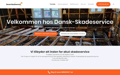 dansk-skadeservice.dk snapshot