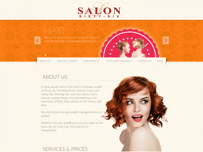 salonsixtysix.com snapshot
