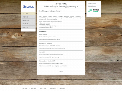 bitsoftas.lt snapshot