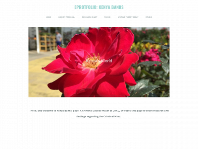 kenyambanks.weebly.com snapshot