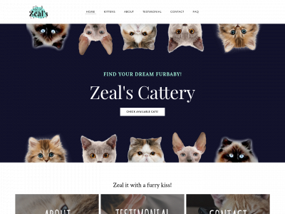 www.zealscattery.com snapshot