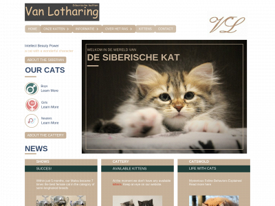 lotharing.com snapshot