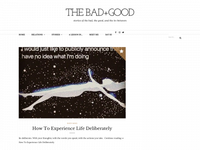 thebadgood.com snapshot