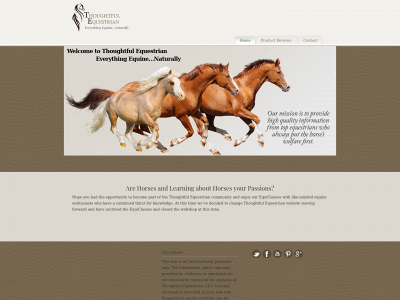 thoughtfulequestrian.com snapshot