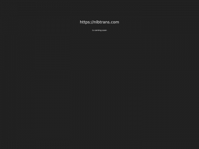 nlbtrans.com snapshot