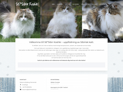 sibirkoshki.se snapshot