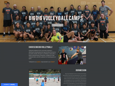 www.bigdigvolleyball.ca snapshot