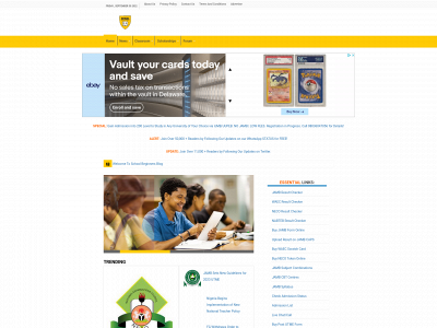 schoolbeginner.com.ng snapshot
