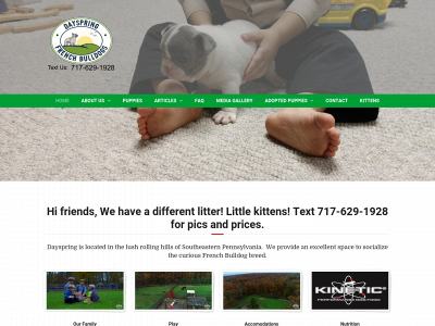 dayspringfrenchbulldogs.com snapshot