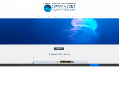 www.oceanplasticdebriseducationresearchawareness.org snapshot