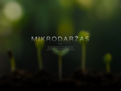 mikrodarzas.lt snapshot