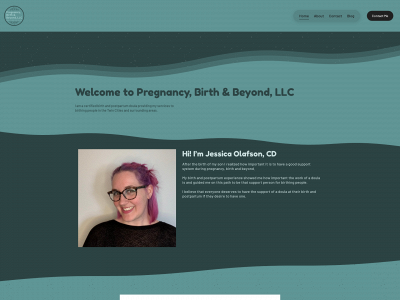 pregnancybirthandbeyondmn.com snapshot