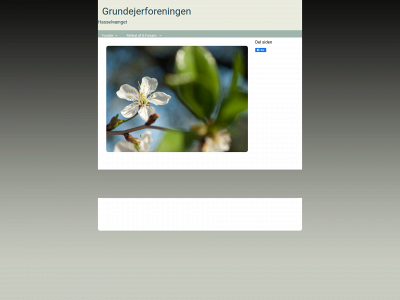 grund-hasselvaenget.dk snapshot