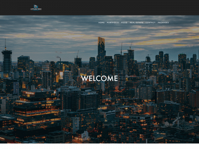 limitlessmediaconsulting.com snapshot