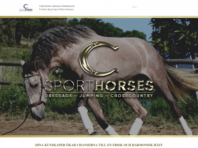 csporthorses.com snapshot