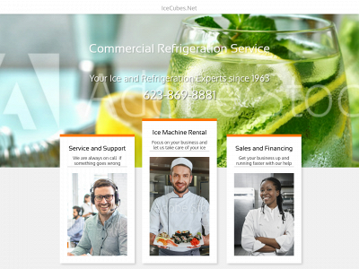 icecubes.net snapshot