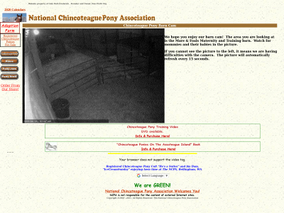 pony-chincoteague.org snapshot
