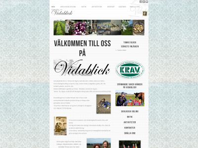 vidablicks.se snapshot