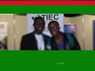 tiec-group.com snapshot