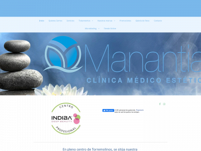 clinicamedicoesteticamanantial.es snapshot