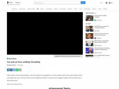 tecnocript.com snapshot