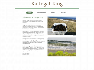 kattegattang.dk snapshot