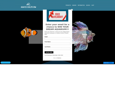 www.aquatic-sealife.com snapshot