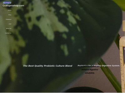 quetzproshop.com snapshot