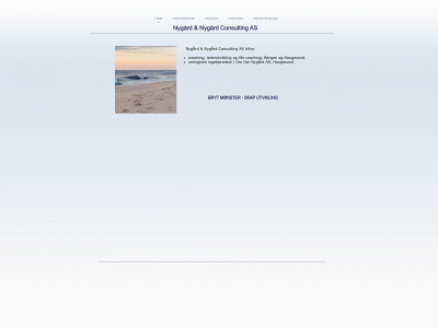 nnconsult.no snapshot