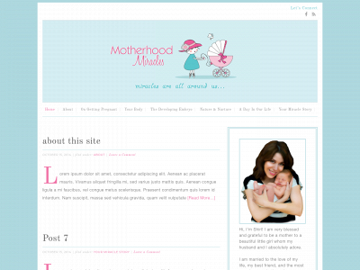 motherhoodmiracles.com snapshot