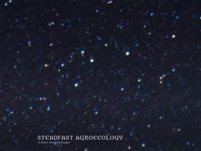 steadfastagroeco.com snapshot