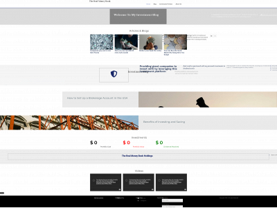 therealmoneybook.com snapshot