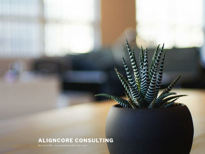 aligncoreconsulting.com snapshot