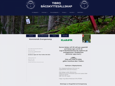 tibrobs.se snapshot