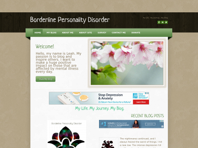 mybpdlifejourney.com snapshot
