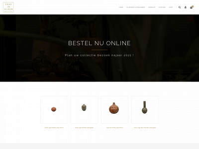 vaasinkleur.nl snapshot