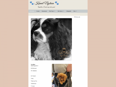 kennelnystuen.com snapshot